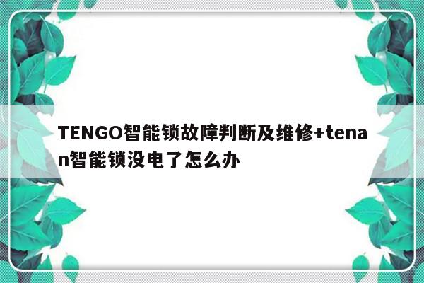 TENGO智能锁故障判断及维修+tenan智能锁没电了怎么办