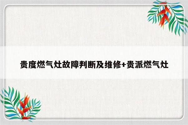 贵度燃气灶故障判断及维修+贵派燃气灶-313啦实用网