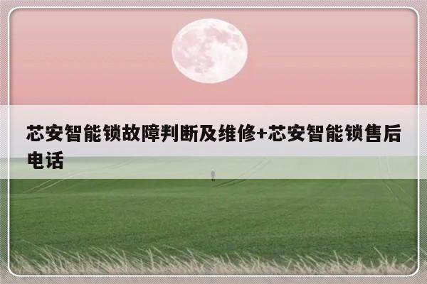 芯安智能锁故障判断及维修+芯安智能锁售后电话