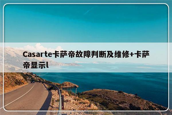 Casarte卡萨帝故障判断及维修+卡萨帝显示l