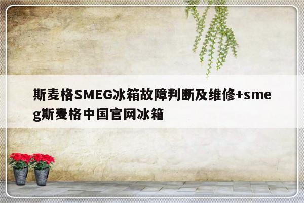 斯麦格SMEG冰箱故障判断及维修+smeg斯麦格中国官网冰箱
