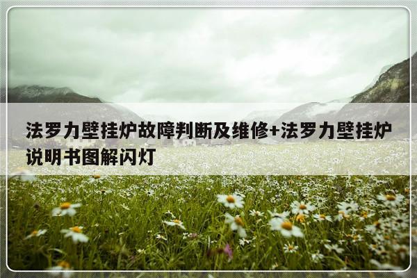 法罗力壁挂炉故障判断及维修+法罗力壁挂炉说明书图解闪灯