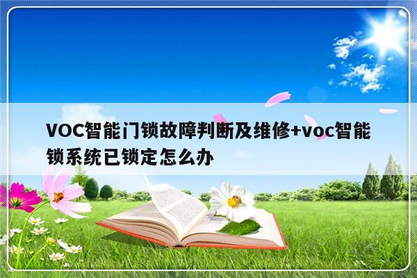 VOC智能门锁故障判断及维修+voc智能锁系统已锁定怎么办-313啦实用网