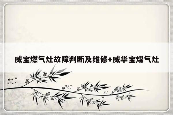 威宝燃气灶故障判断及维修+威华宝煤气灶
