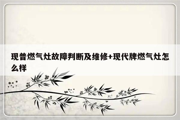 现普燃气灶故障判断及维修+现代牌燃气灶怎么样-313啦实用网