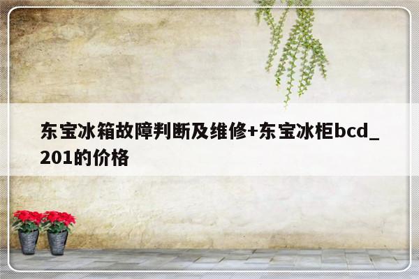 东宝冰箱故障判断及维修+东宝冰柜bcd_201的价格-313啦实用网