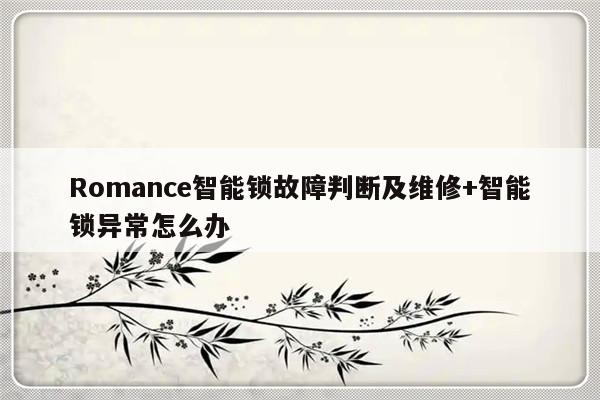 Romance智能锁故障判断及维修+智能锁异常怎么办-313啦实用网