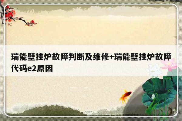 瑞能壁挂炉故障判断及维修+瑞能壁挂炉故障代码e2原因