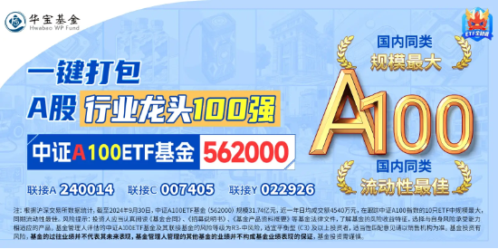 TMT龙头逆市崛起,兆易创新飙升逾8%!规模最大中证A100ETF基金(562000)跑赢大市,彰显韧性!
