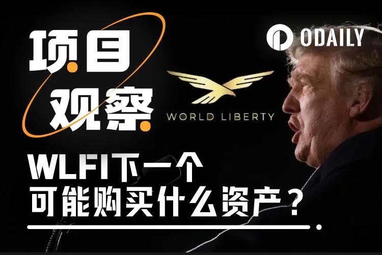 特朗普家族项目WLFI接下来可能买入哪些资产?