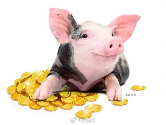 年内猪价走出“倒V”,生猪养殖终于赚钱了!