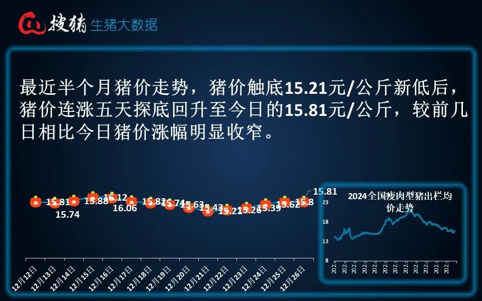 生猪现货日报|全国均价15.81元/公斤 连涨后养殖端卖猪情绪增强 屠企收猪压力缓解