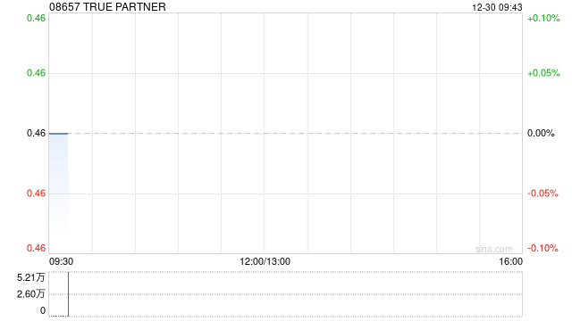 TRUE PARTNER拟折让约13%发行1950万股 净筹约730万港元