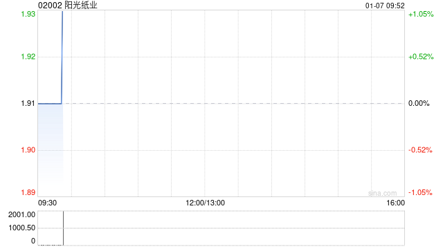 阳光纸业公布已采纳股份奖励计划