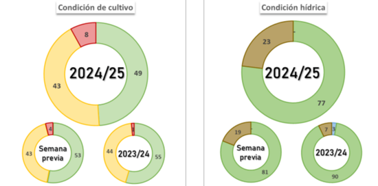 豆粕:报告超预期利多 南美贴水下跌