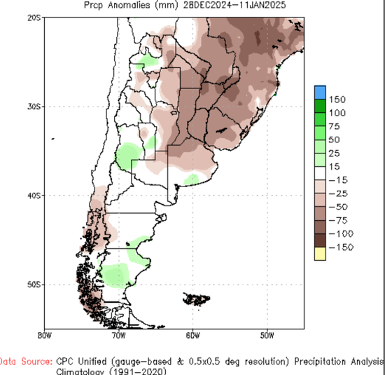 豆粕:报告超预期利多 南美贴水下跌