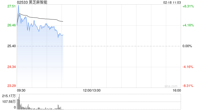 黑芝麻智能盈喜后高开逾5% 全年收入同比预增最多60%