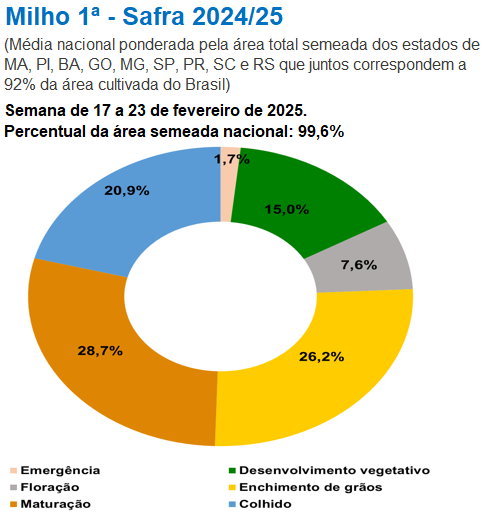 玉米:关注短期卖压