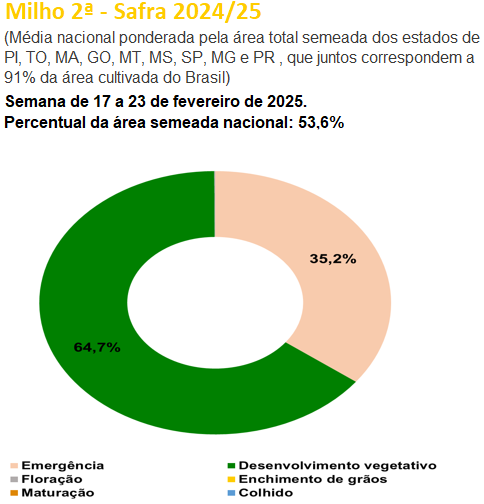 玉米:关注短期卖压