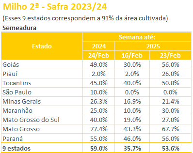 玉米:关注短期卖压