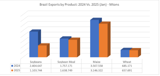 玉米:关注短期卖压