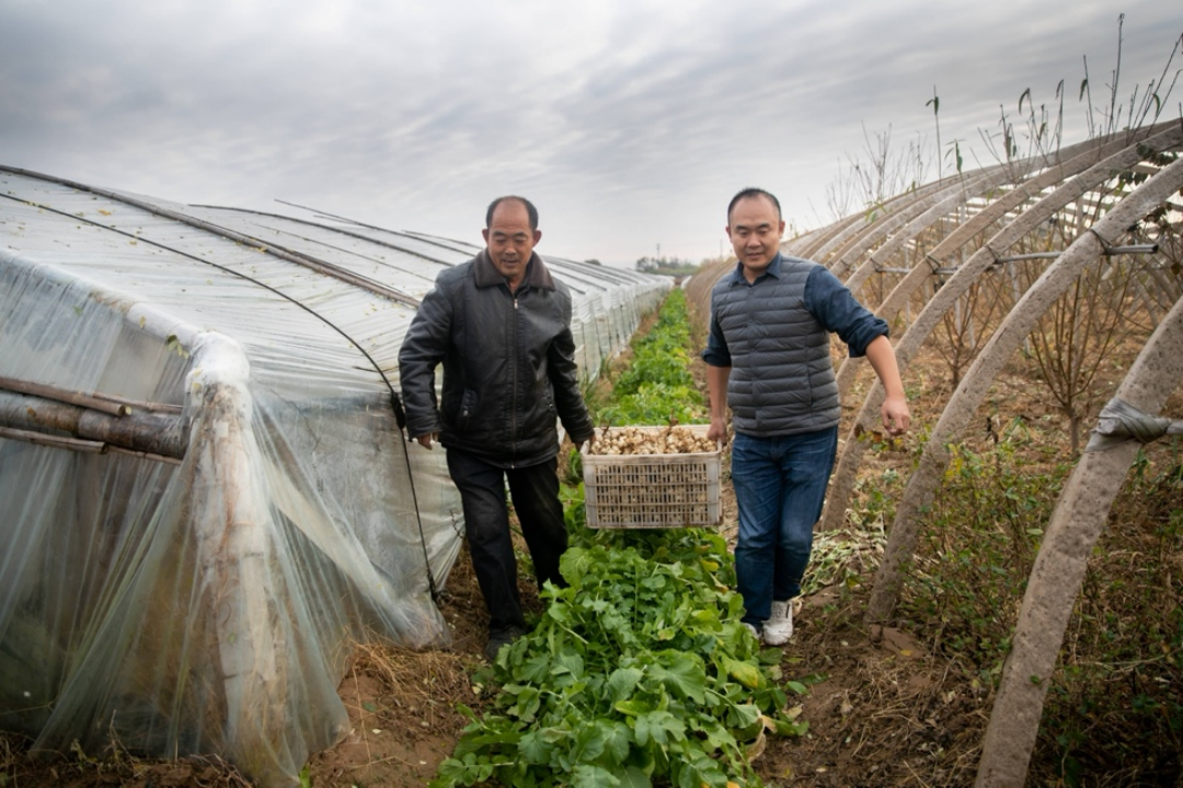 马云最新发声！下一个十年 让我们继续人人三小时
