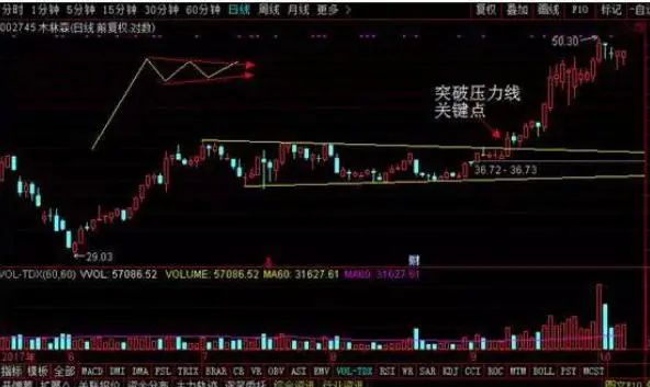 巴菲特点破A股市场：最具价值投资的7只行业龙头股名单一览，谁会是下一只“千倍股”?