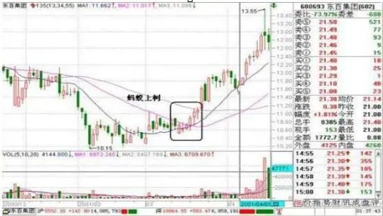 牛市赚钱氛围满满，一生仅有7个牛市机会，你错过了几个？从亏损蜕变成稳赚不赔