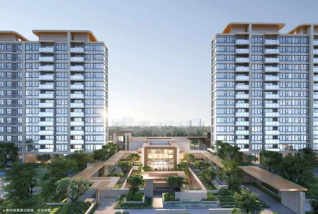 12小时认购率破190%!闵行梅陇再现积分神盘!