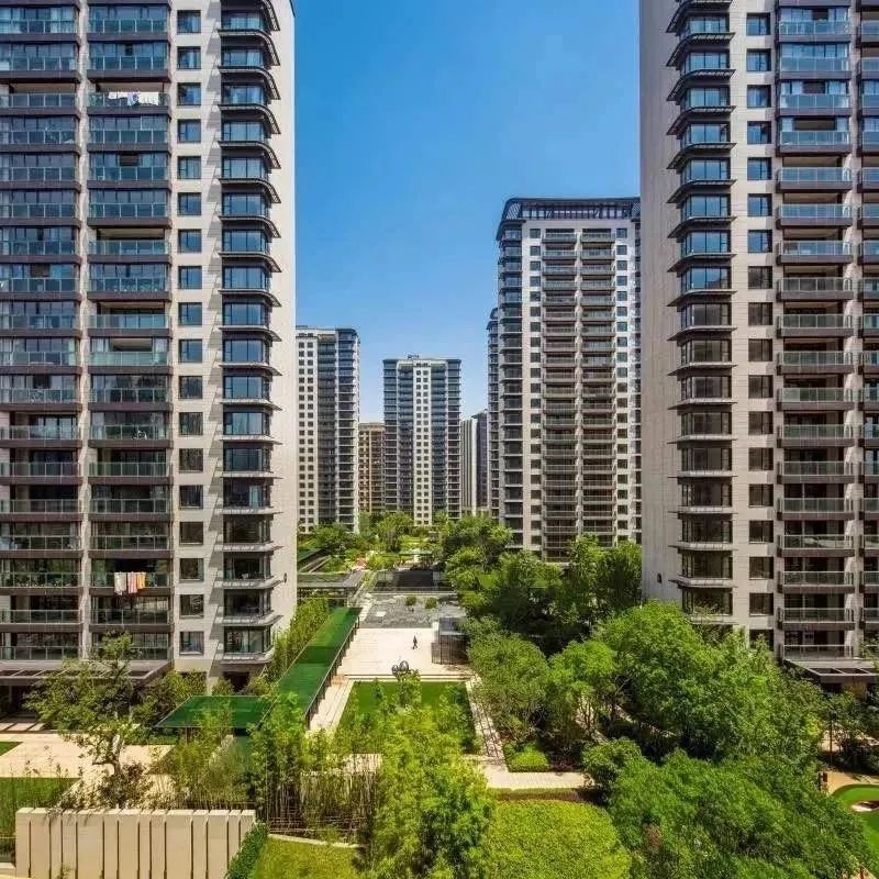 12小时认购率破190%!闵行梅陇再现积分神盘!