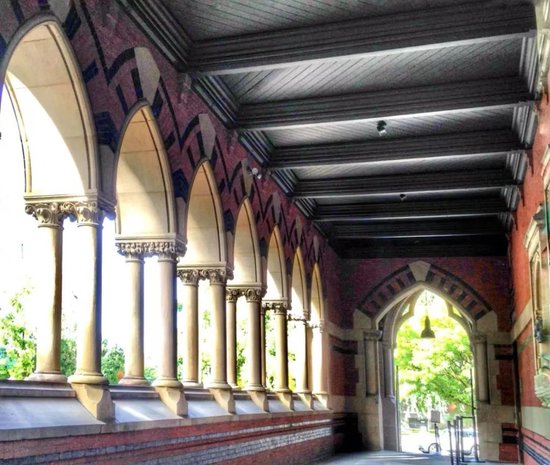 哈佛与白宫对决，美国人如何站队？