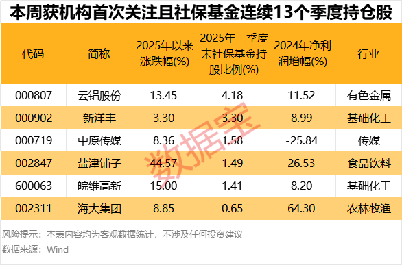 仅6股,“耐心资本”连续13个季度持仓且机构首次关注!3股2024年净利润创近10年新高
