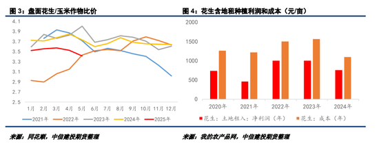 【妙笔花生】比面积更重要的是播种节奏