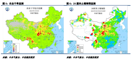 【妙笔花生】比面积更重要的是播种节奏