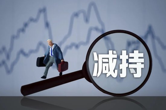 股价暴涨450%，鲁丽系把公司卖给股民了