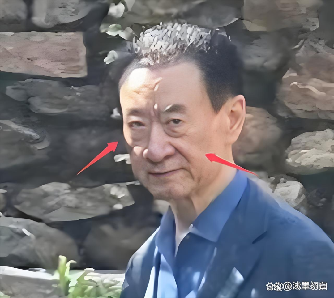 王健林   轻飘飘的旧时光就这样溜走