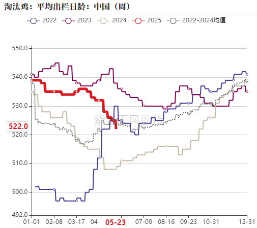 鸡蛋:何处才是底,何时见曙光?