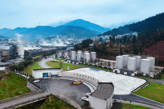 川酒集团，谁该对国有资产流失负责？