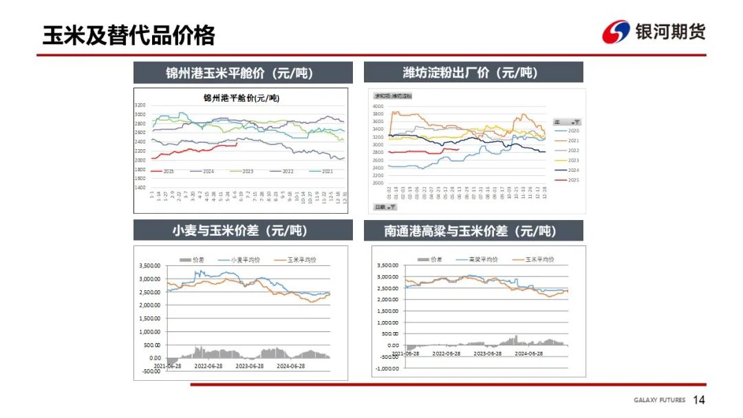 【玉米和淀粉周报】玉米现货上涨  盘面高位震荡