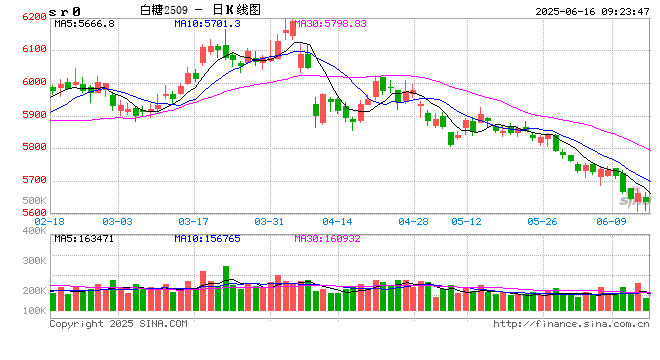光大期货软商品类日报6.16