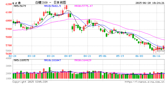 光大期货：6月20日软商品日报
