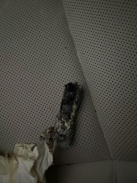 车主称理想MEGA“自燃”,最新回应!