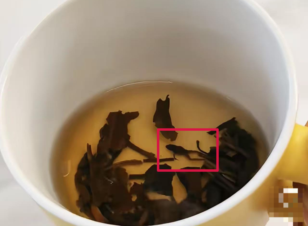 “奈雪的茶”茶包喝出青蛙？当事人再发声！