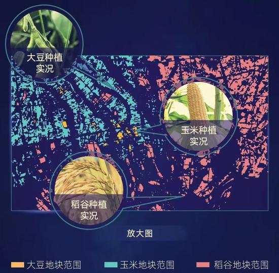 无声的灌溉：小微金融里的韧性中国