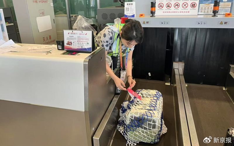 已覆盖国内数百条航线，宠物进客舱需穿纸尿裤坐经济舱末排