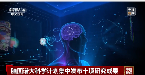我国科学家在世界上首次绘制!事关脑科学