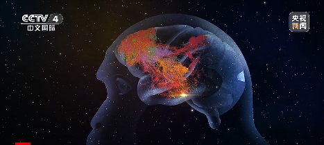 我国科学家在世界上首次绘制!事关脑科学