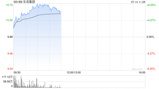 中金：维持东岳集团目标价11.6港元 评级“跑赢行业”