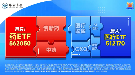 “支付松绑+技术出海+需求刚性”黄金三角驱动，药ETF（562050）逆市涨1%！丽珠集团、华东医药领涨