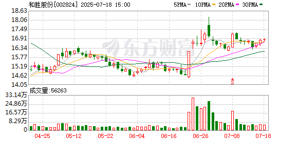 和胜股份：不存在涉及逾期债务、诉讼的担保